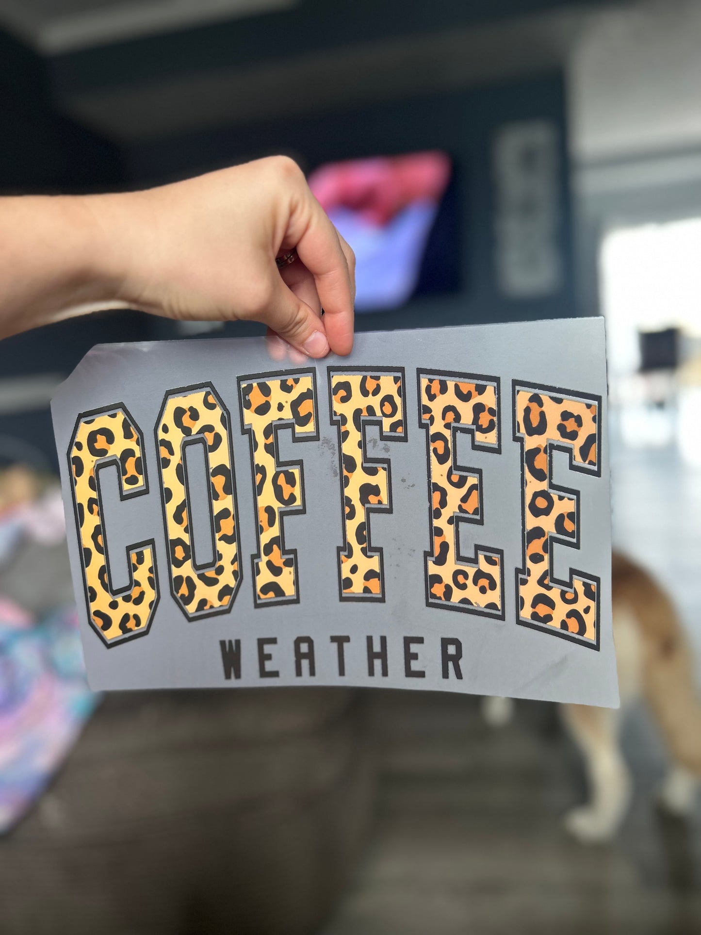 Coffee weather leopard